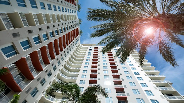 Camden Pier District Apartments apartments in ST Petersburg FL