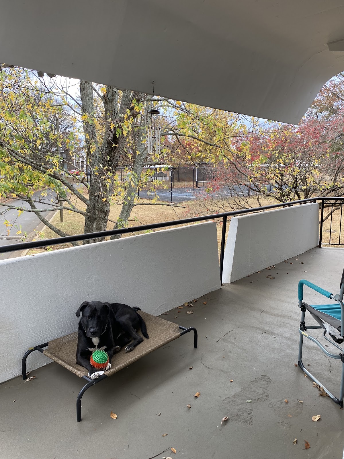 Imperial Gardens apartments in Huntsville AL