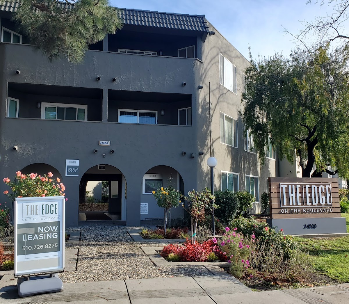 The Edge on the Boulevard apartments in Fremont CA