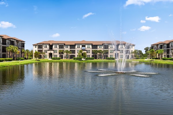The Loop at 2800 apartments in Sarasota, FL