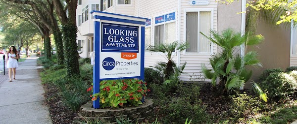 Circa Properties apartments in Gainesville, FL