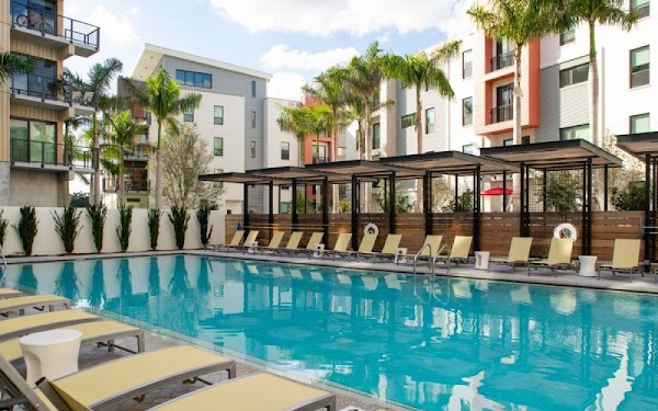 The Pearl Apartments apartments in Tampa, FL