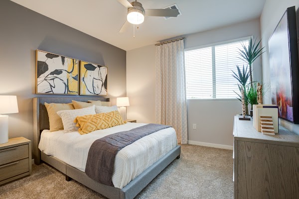 Lucent Scottsdale Apartments apartments in Scottsdale, AZ