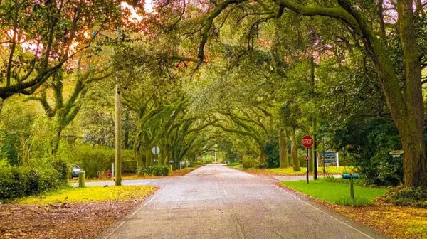 PURE Property Management of Alabama apartments in Tuscaloosa, AL