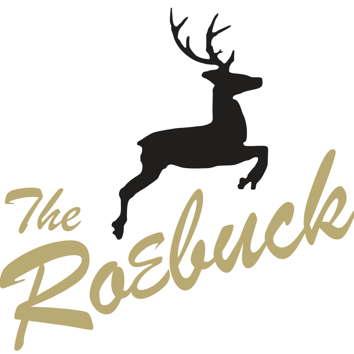 The Roebuck Lofts apartments in Portsmouth, VA