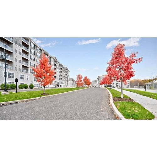Abbey Lane apartments in Danbury, CT