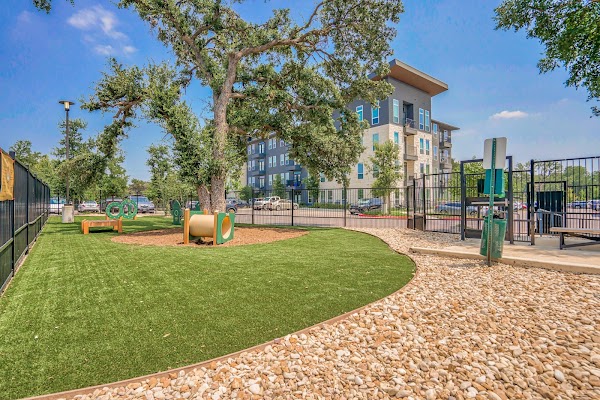 Windsor South Congress Apartments apartments in Austin TX