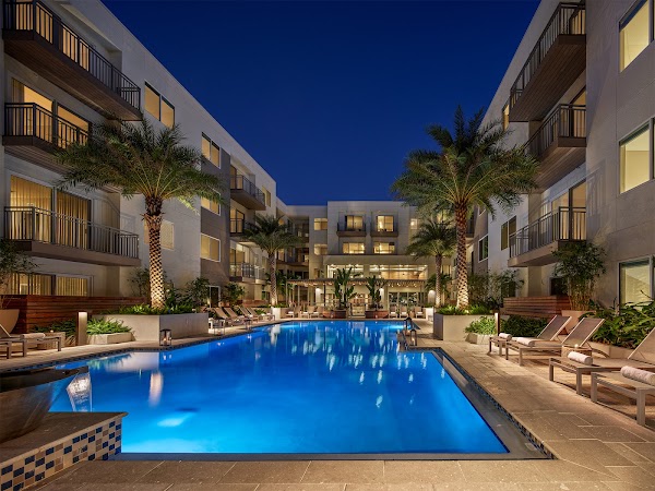 AVE Tampa Riverwalk apartments in Tampa FL